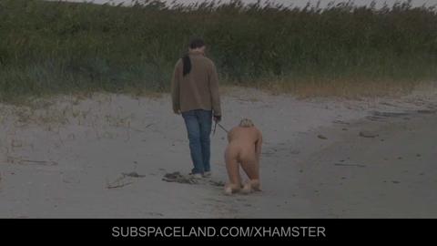 12225